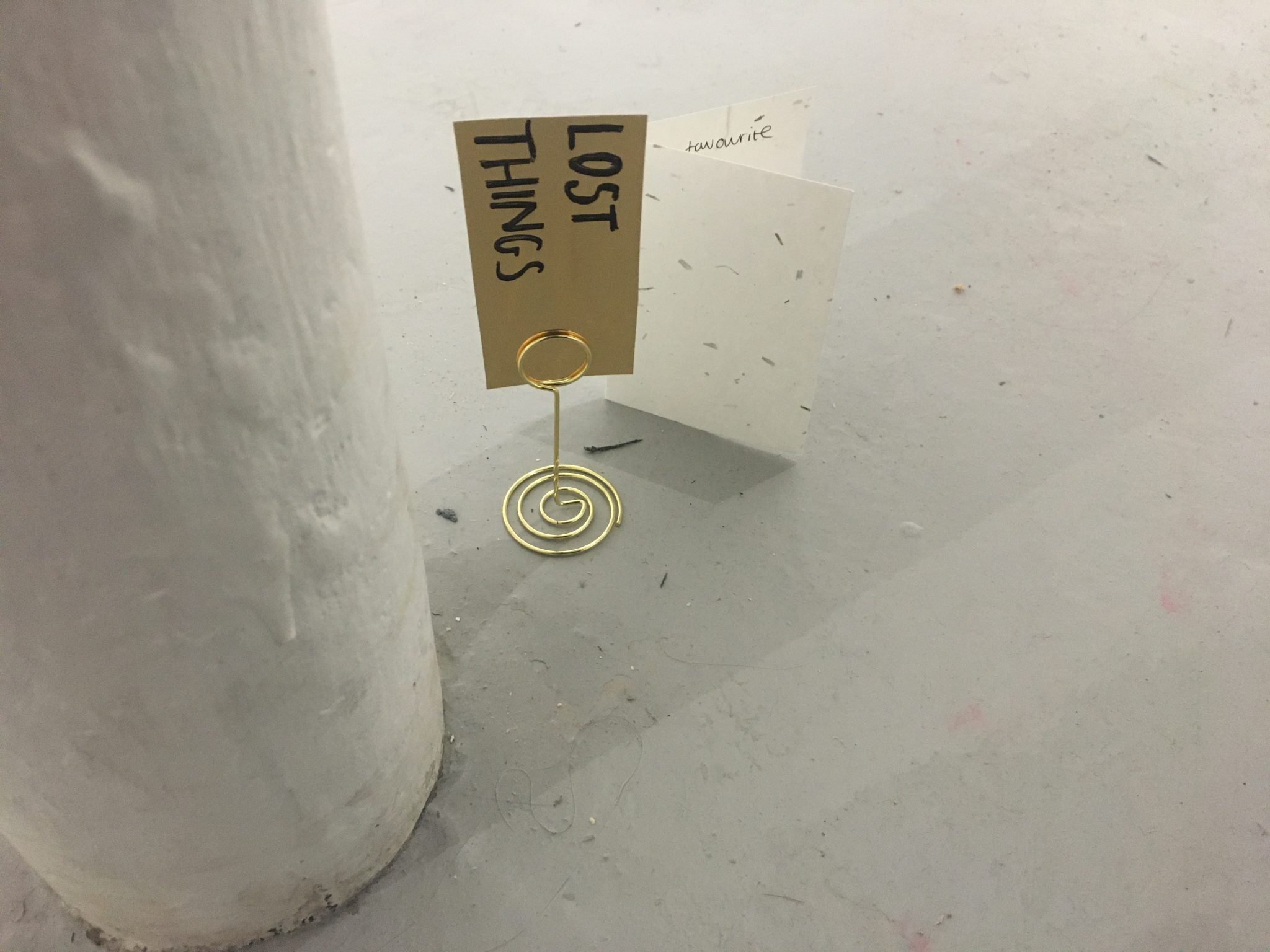 IMG-1006